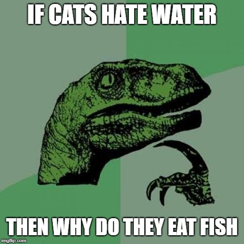 01/2068102a0f4e.jpg