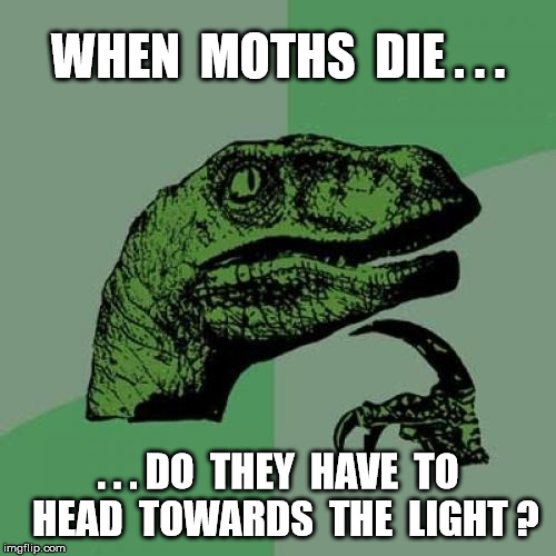 0a/6f7f57fb343c.jpg