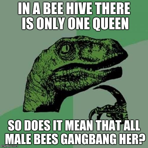 0b/138c66cb528b.jpg