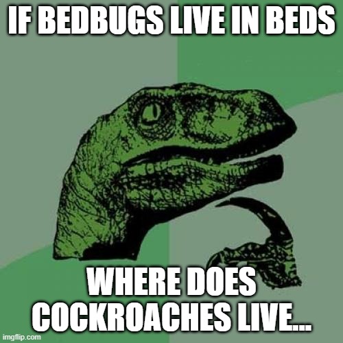 0c/67839fe7ca9f.jpg