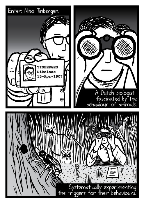 0d/3b1dff03f36e.jpg