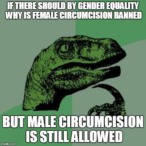 0d/be11031d19b5.jpg