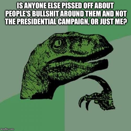 0d/c41e73198817.jpg