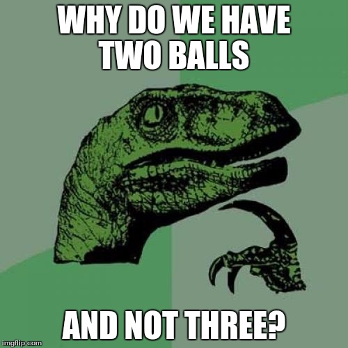 0d/d54140b2fd73.jpg