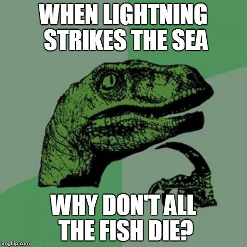 0e/47b96f3f7c4c.jpg