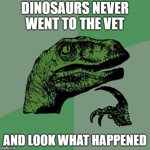 0f/9a66830e86c7.jpg