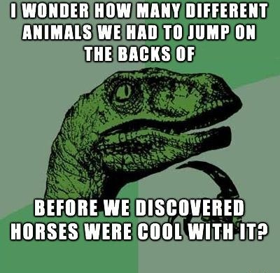1a/2468ee179c7a.jpg